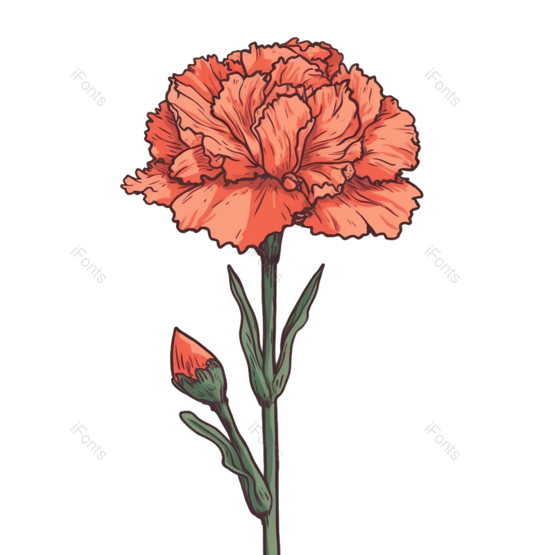 花朵背景图片,花朵素材元素,花朵边框PNG,免抠素材